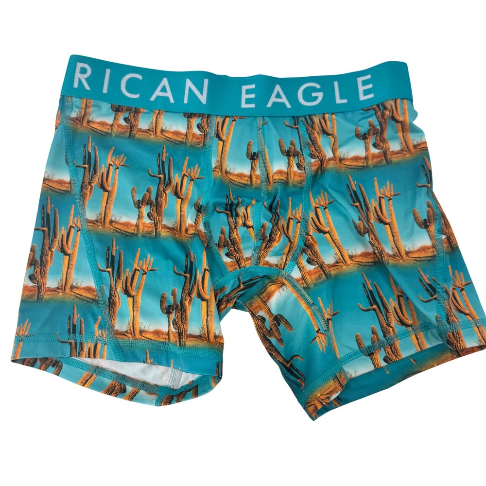 American Eagle Flex‎ Mens Boxer Briefs S Desert Cactus Print Turquoise Blue